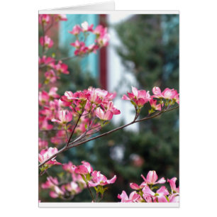 Rosa Dogwood Hälsningskort