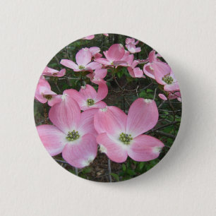 Rosa Dogwood Knapp