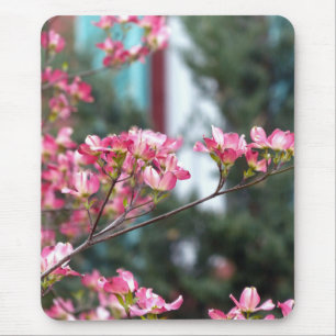 Rosa Dogwood Musmatta