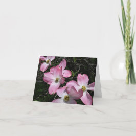 Rosa Dogwood Tack Kort