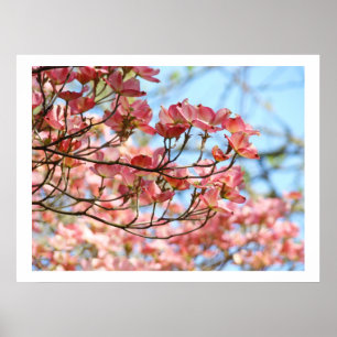 Rosa Dogwood-träd Blommor konsttryck botanisk Poster