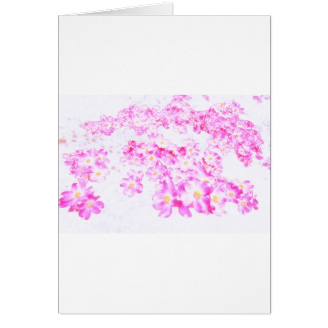 Rosa Dogwoodblommar Hälsningskort (Framsidan)