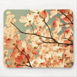 Rosa Dogwoodblommor Musmatta