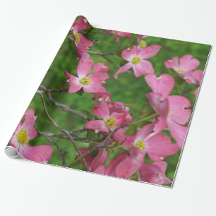 Rosa Dogwoodgåva som slår in papper Presentpapper