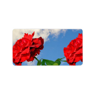 Rosa Don Juan med blå himmel Adressetikett