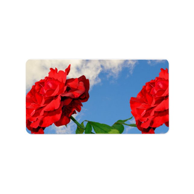 Rosa Don Juan med blå himmel Adressetikett (Framsidan)