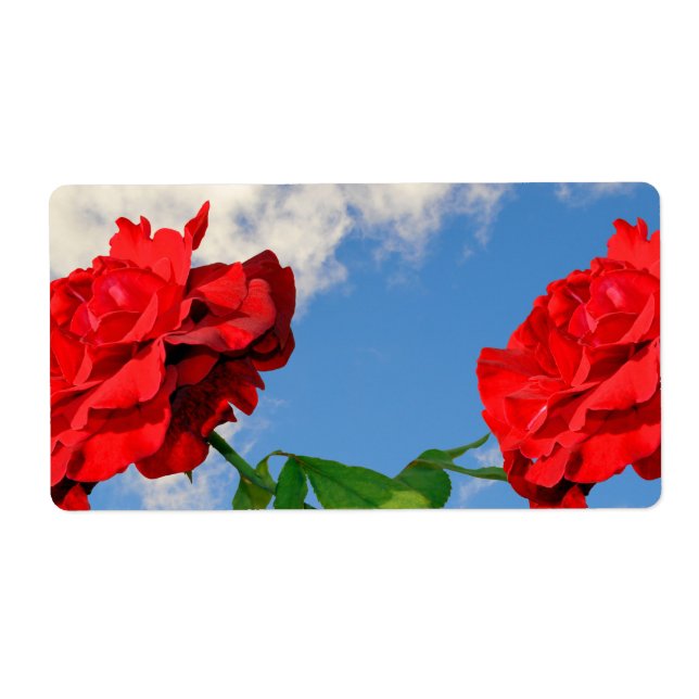 Rosa Don Juan med blå himmel Fraktsedel (Framsidan)