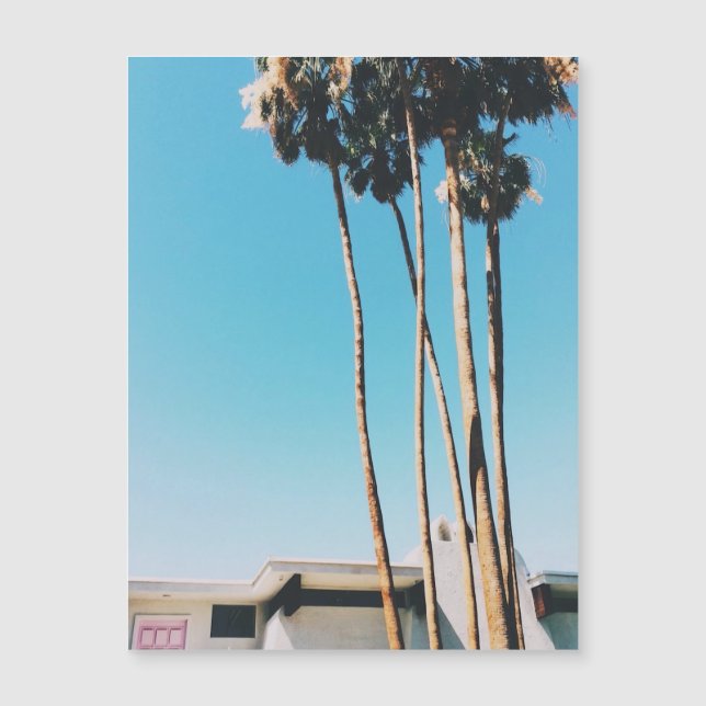 Rosa Dörr av magnet Handflatan Vår (Framsida)