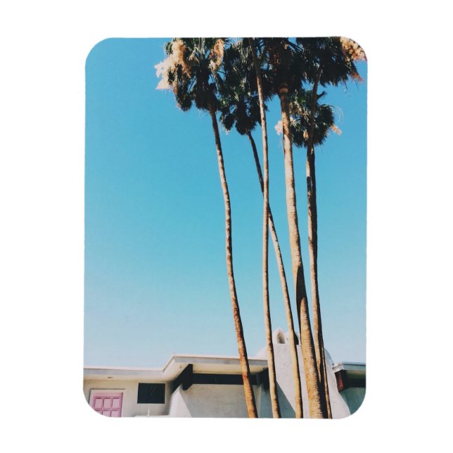 Rosa Dörr till Handflatan Vår Magnet (Vertikal)