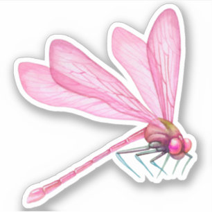 Rosa Dragonflies Sticker Klistermärken