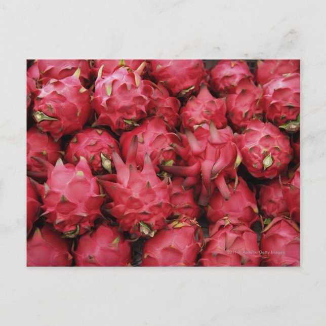 Rosa Dragonfrukt staplad tillsammans Vykort (Framsida)
