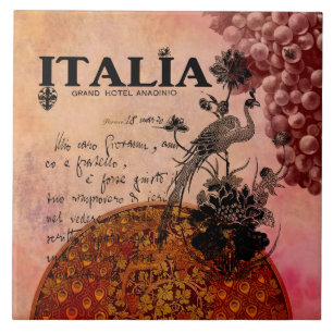 Rosa druvor Italia Kakelplatta