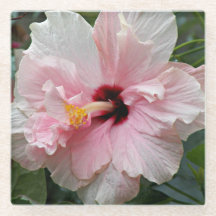 Rosa Dubbla Hibiscus Blommigt