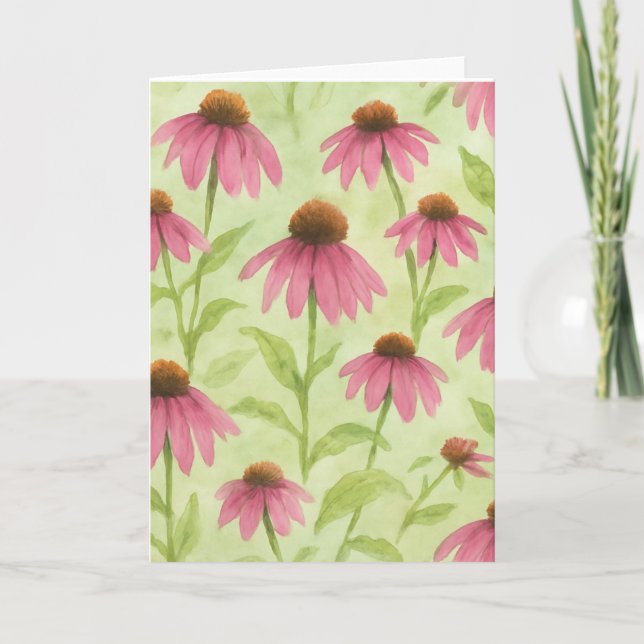 Rosa Echinacea Akvarell Blomma Bakgrund Kort (Framsida)