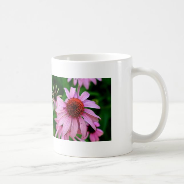 rosa echinacea mugg (Höger)