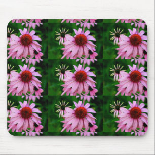 rosa echinacea på grönt munsepad musmatta