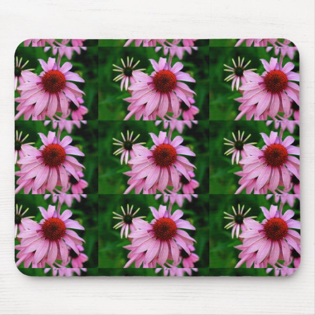 rosa echinacea på grönt munsepad musmatta (Framsidan)
