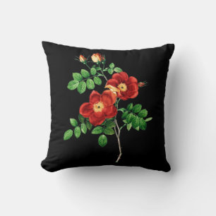 Rosa Eglanteria Kudde