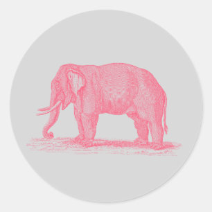 Rosa elefant för vintage på gråa 1800selefanter runt klistermärke