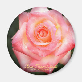 Rosa Elegant Lady：Round Magnet