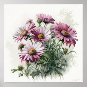 Rosa Engelsk Daisy Flower Art Print Poster