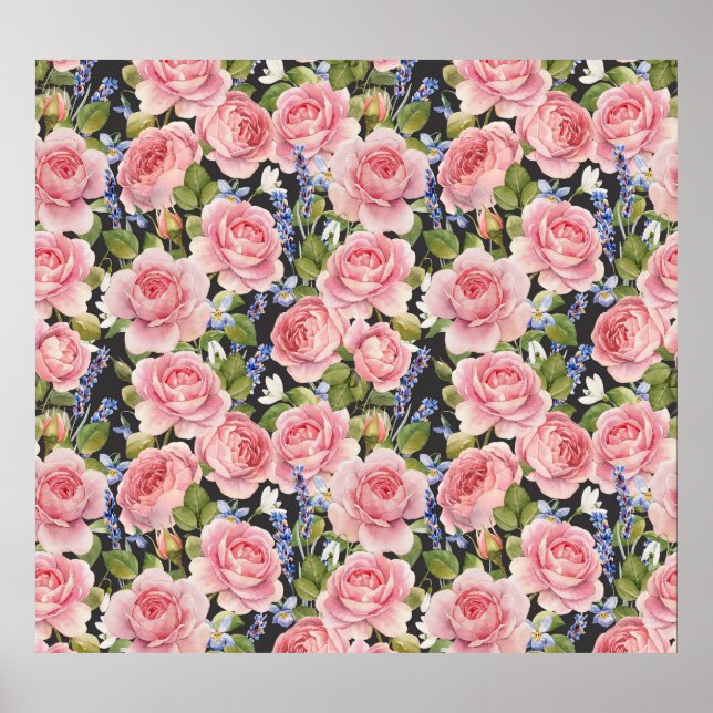 Rosa Engelska Ro: Mörk Watercolor Poster (Framsidan)