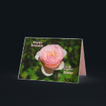 Rosa Engelska Ro Sister Grattis på födelsedagen Kort<br><div class="desc">Texten på kortet som du kan ändra och anpassa. "En syster är som en ro ~ Vacker,  men se upp för bröstet! Skojar du med bröstet? Mycket kärlek på din födelsedag!" Det här är en mall som skapar den enkel att anpassa.</div>