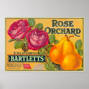 Rosa etikett för fruktträdgårdPearlåda Poster