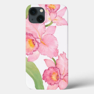 Rosa Exotic Watercolor Flowers