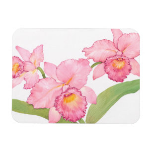 Rosa Exotic Watercolor Flowers Magnet
