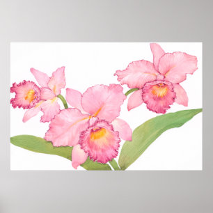 Rosa Exotic Watercolor Flowers Poster