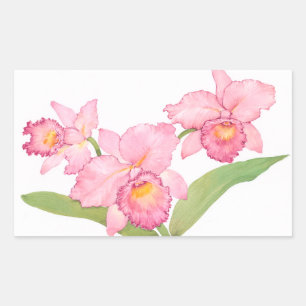Rosa Exotic Watercolor Flowers Rektangulärt Klistermärke