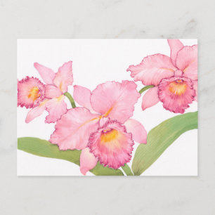Rosa Exotic Watercolor Flowers Vykort