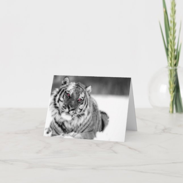 Rosa Eyed Tiger Kort (Framsida)