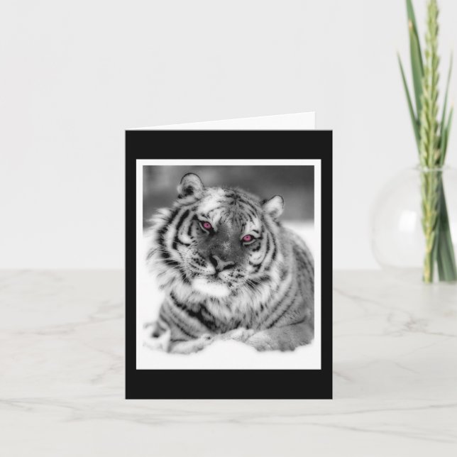Rosa Eyed Tiger Kort (Framsida)