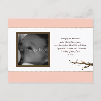 Rosa Fågel Bebis Annonsering Meddelande Vykort