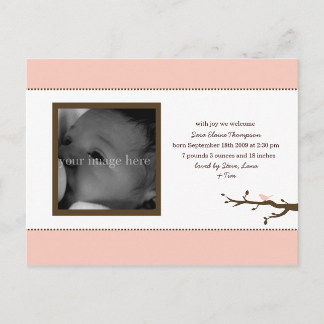 Rosa Fågel Bebis Annonsering Meddelande Vykort (Framsida)