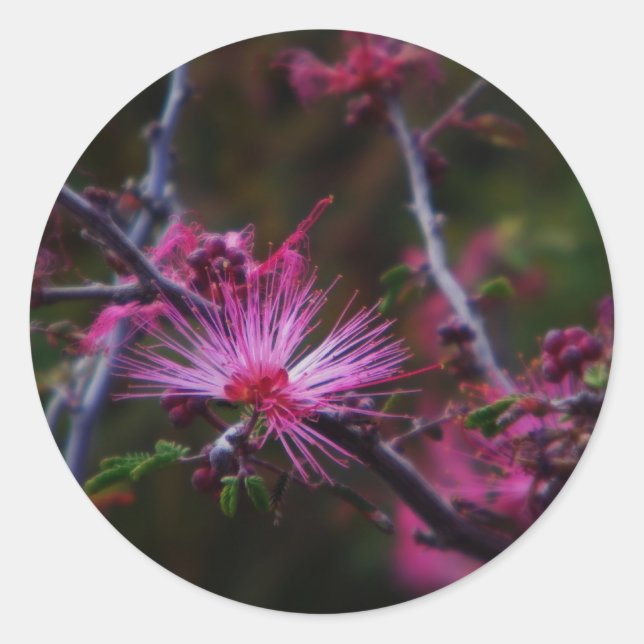 rosa Fairy duster-dekal Runt Klistermärke (Framsida)