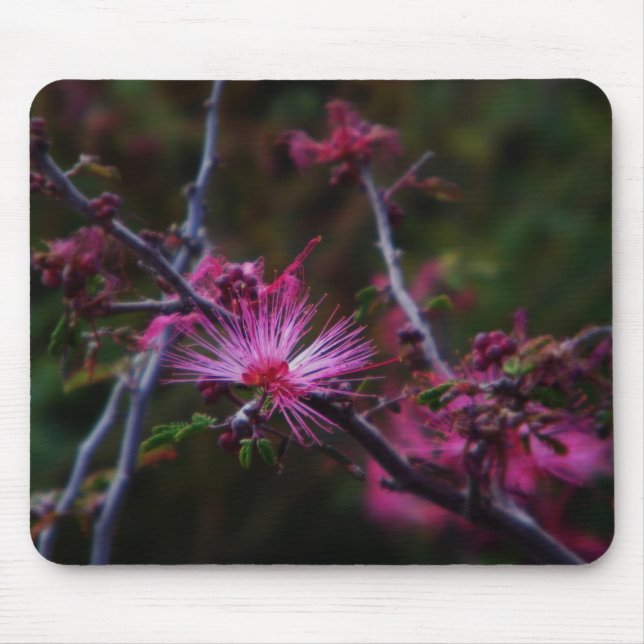 Rosa Fairy duster Musmatta (Framsidan)
