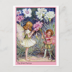 Rosa Fairy Vykort