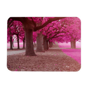 Rosa Fantasy-parken Magnet