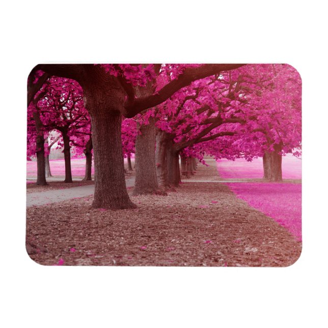 Rosa Fantasy-parken Magnet (Horisontell)