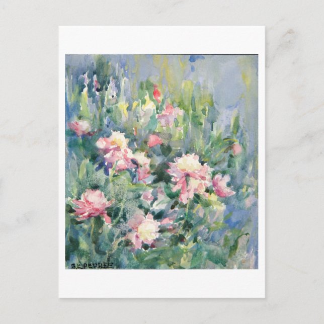 Rosa Färgmålningsvykort Vykort (Framsida)