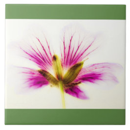 Rosa Feather Flower Tile Kakelplatta