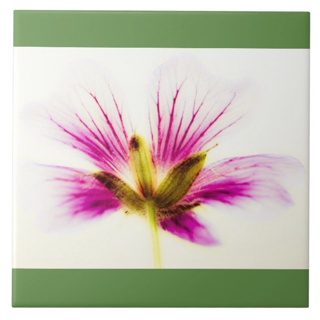 Rosa Feather Flower Tile Kakelplatta (Framsidan)
