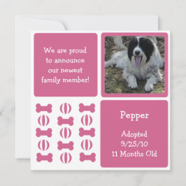 Rosa Female Hund Pet Announcement Fotokort Meddelande