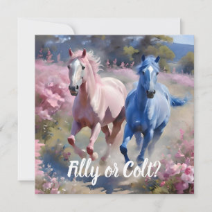Rosa Filly & Blue Colt Western Stil Gender Reveal Inbjudningar
