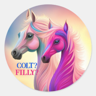 Rosa Filly & Blue Colt Western Stil Gender Reveal Runt Klistermärke