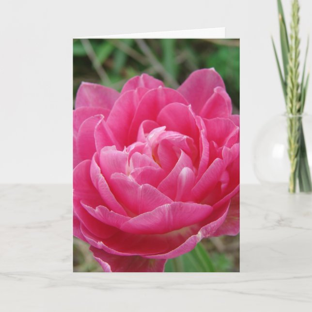 Rosa Finare Tulip, Mors dag Kort (Framsida)