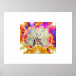 Rosa Fire Orchid, surreala blommigtar med vattenfä Poster